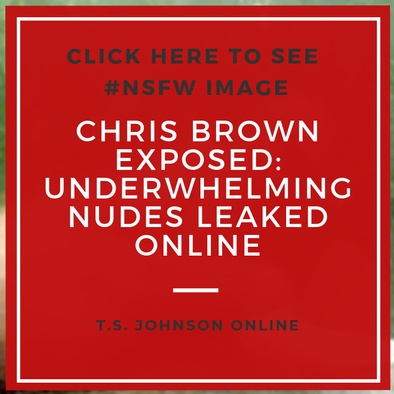 Chris Brown Penis Pic
